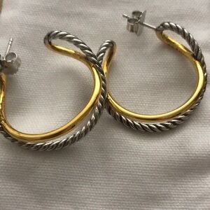 Silver and Gold Hoop Earring